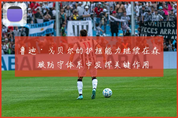 鲁迪·戈贝尔的护框能力继续在森林狼防守体系中发挥关键作用