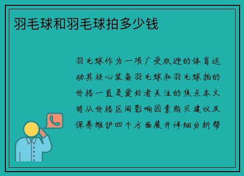羽毛球和羽毛球拍多少钱